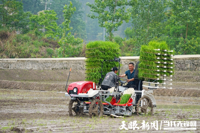 凯发K8天生赢家一触即发官网：引进补充和研发适宜丘陵山地的小型化、众效果、拼凑式农业机具